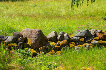 Old stone wall covered with moss, separating a meadow from a field. Rustic rural landscape, northern countryside charm, and peaceful natural scenery