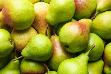 Many whole ripe pears as background, closeup