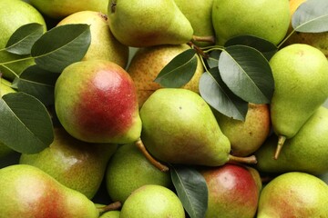 Many whole ripe pears as background, closeup © New Africa