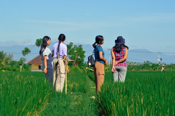 Four girls stand side by side at a rice field path intersection, pausing to admire the beautiful...