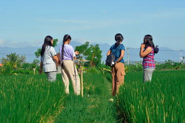 At the rice path crossing, four teenage girls pause to rest and chat, enjoying the morning countryside atmosphere and the lush green surroundings.