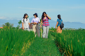 Four girls stand on grassy ground at a rice field intersection, surrounded by lush paddy plants, quietly enjoying the calm countryside morning.
