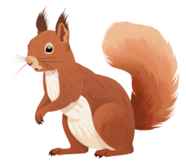 PNG Eurasian red squirrel rodent mammal animal.