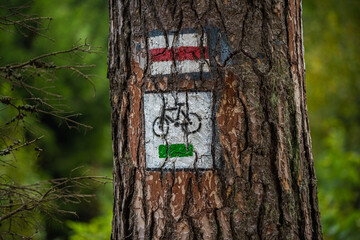 bike trail sign on a tree