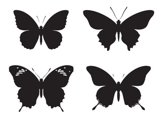 Beautiful Butterfly Icon Silhouette in Minimal Vector Format