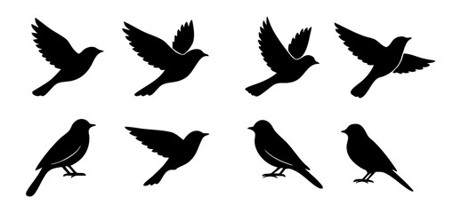 Bird silhouette shapes, isolated background. Flying birds and perched bird graphic vector design