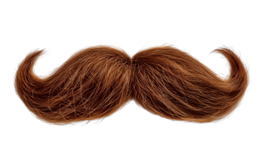 Close up of a man's moustache on transparent background, png file