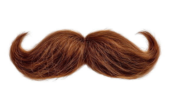 Close up of a man's moustache on transparent background, png file - Powered by Adobe