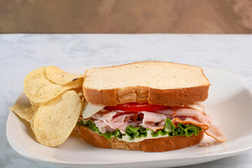 tu8rkey sandwich with  potato chips,