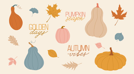 Autumn pumpkins and fall leaves. Collection of seasonal vegetables and foliage with lettering. Perfect design for Thanksgiving and harvest. Flat vector illustration