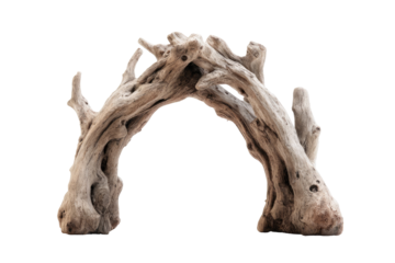 Driftwood archway, light beige tone