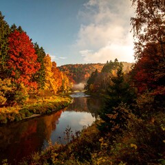 Autumnal river valley bathed in morning light
