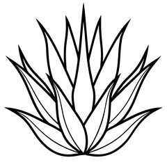 Abstract Aloe Cactus Line Art Vector
