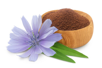 Chicory powder in wooden bowl and flower isolated on white background. Cichorium intybus.