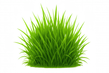 Lush, vibrant green grass thrives against a transparent background, ready for seamless integration into any design project