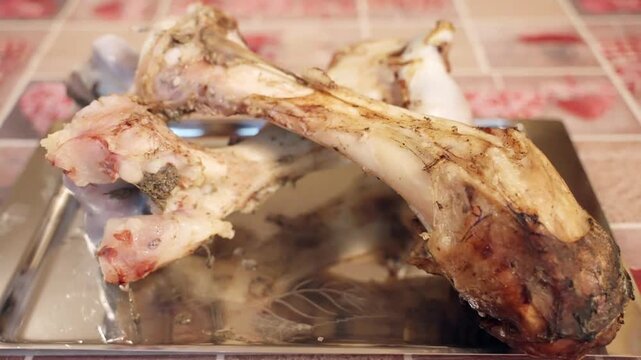 Close-up shot of boiled beef bones rich on collagen, natural ingredient with regeneration properties for human body and health, collagen preventing aging process and helping to keep skin care 