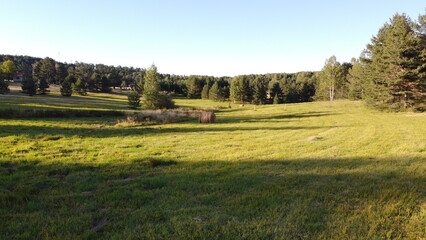 Scenic rural landscape with hay bales on a green meadow near forest at sunset