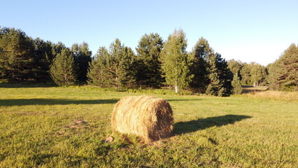 Scenic rural landscape with hay bales on a green meadow near forest at sunset
