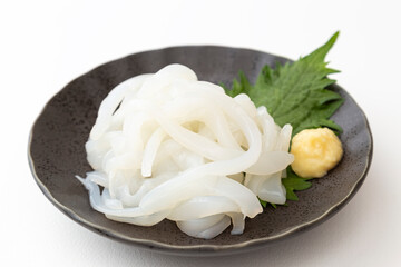 イカの刺身　白バック