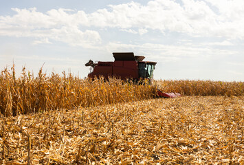 Combine harvester working in a corn field