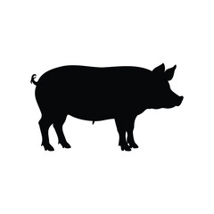 Black and white pig silhouette, illustrating a simple farm animal design, pig silhouette vector illustration