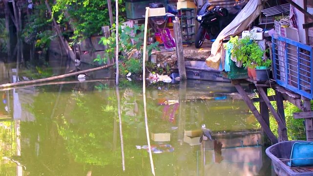 Garbage waste pollution village Prem Prachakon canal river Bangkok Thailand.