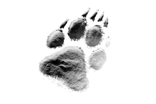 Detailed monochrome image of a large animal paw print