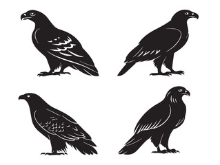 Eagle Bird Silhouette Icons in Modern Vector Illustration Style