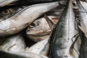 fresh fish selling at the wet market fish stall