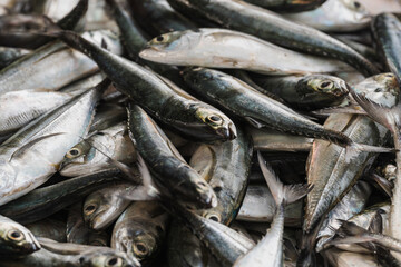 Obraz premium fresh fish selling at the wet market fish stall