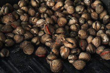fresh blood cockles display at the wet market or fish market stall