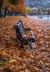 bench in autumn park