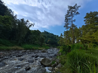 Obraz premium Winding River Amidst Lush Green Forest: A Serene Landscape Journey Through Nature's Untouched Beauty Under a Cloudy Sky 