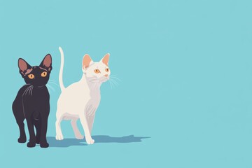 Fototapeta premium Cute black and white cats walking together against a blue background