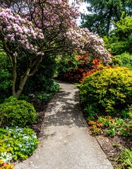 A paved path winds through a vibrant garden bursting with spring blossoms