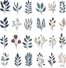 Collection of delicate watercolor botanical illustrations of various leaves and branches in muted earth tones