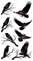 Obraz premium Raven silhouettes flying and perched on branches in a spooky style 