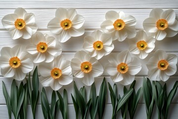 Fototapeta premium Creative spring advertising layouts featuring daffodils on a clean white background