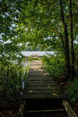 wyjście na stary drewniany pomost nad jeziorem otoczynym gęstym lasem © Kamil_k2p