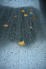 A gloomy close-up of raindrops and scattered fallen leaves on a wet window or metal surface. The photo captures a serene yet cold atmosphere of an autumn day.