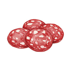 Vector watercolor processed meat / 水彩テイストの加工肉（サラミ）イラスト