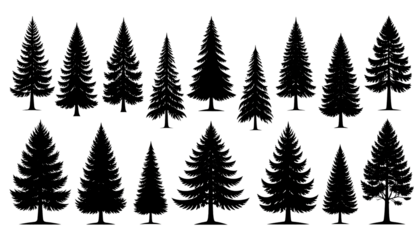 Pine tree silhouette collection on white background