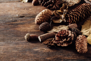 Natural Pine Cones and Dried Leaves on Rustic Wooden Background