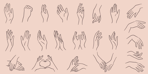 A set of vector outline illustrations of hands with different gestures. Linear minimalist style. 