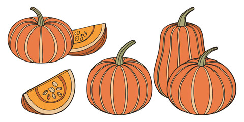 A collection of realistic pumpkins in various natural shapes and sizes, arranged in rows on a clean white background. The pumpkins are deep orange in color with distinct ridges and green stems. Some a