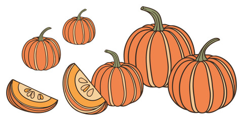 A collection of realistic pumpkins in various natural shapes and sizes, arranged in rows on a clean white background. The pumpkins are deep orange in color with distinct ridges and green stems. Some a