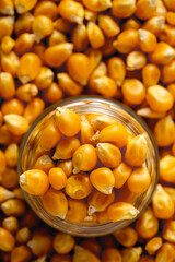 Close-Up of Fresh Yellow Corn Kernels in a Glass Jar on Brown Background