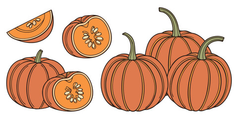 A collection of realistic pumpkins in various natural shapes and sizes, arranged in rows on a clean white background. The pumpkins are deep orange in color with distinct ridges and green stems. Some a