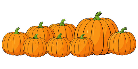 A collection of realistic pumpkins in various natural shapes and sizes, arranged in rows on a clean white background. The pumpkins are deep orange in color with distinct ridges and green stems. Some a