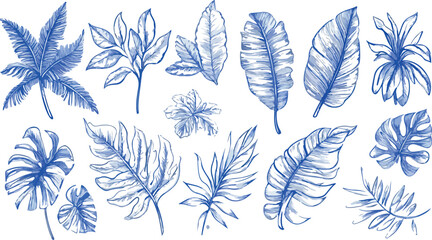 Collection of elegant blue watercolor tropical leaves and palm fronds on a white background